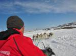 Nosso 'motorisra' nos levar para passear de dogsleding em Ilulissat, na Groelândia